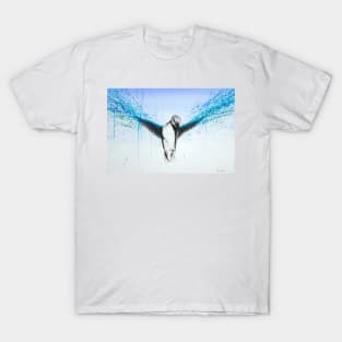 Kingfisher Rise T-Shirt